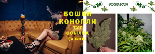 твердый Горно-Алтайск