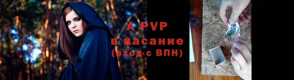 spice Володарск