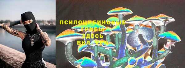 твердый Горно-Алтайск