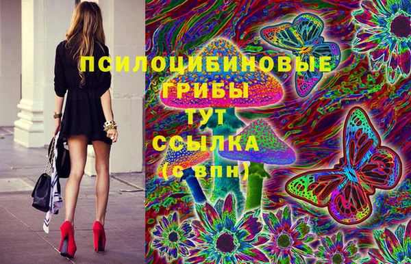 меф Горняк